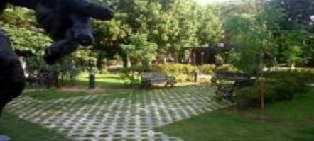Images